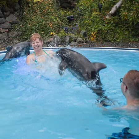 Landhotel Grimmeblick 4* 빈터베르크