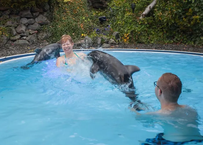 Grimmeblick 4* Winterberg