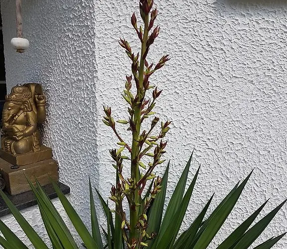 Grimmeblick 4* ווינטרברג